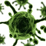 Ancient Viral Principle: How the internet has brought us to the past
